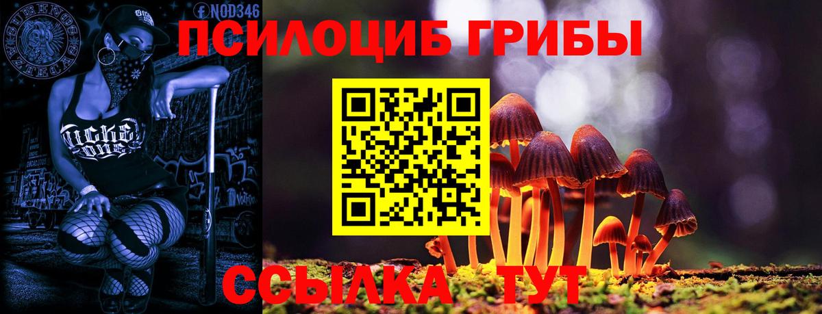 Клинцы  Галлюциногенные грибы Psilocybine cubensis  Вход с VPN 